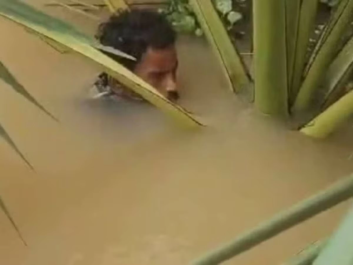 Man Clings to Palm Tree for Five Days