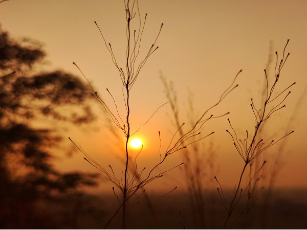 Heat wave like situation in Bihar due to strong hot winds