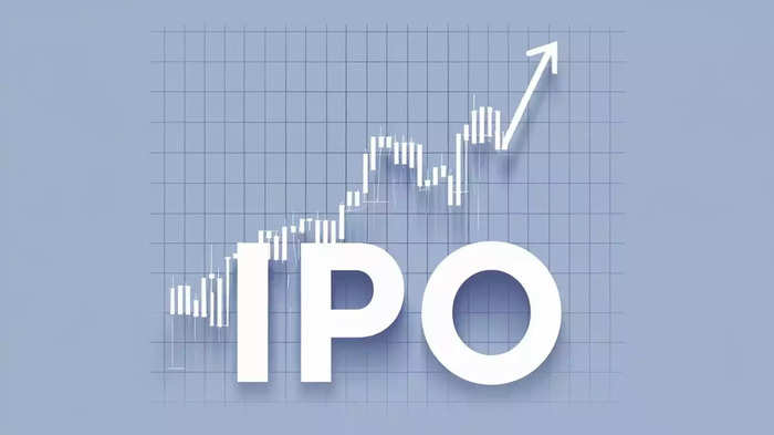 In 2024, the IPOs of these startups created a stir