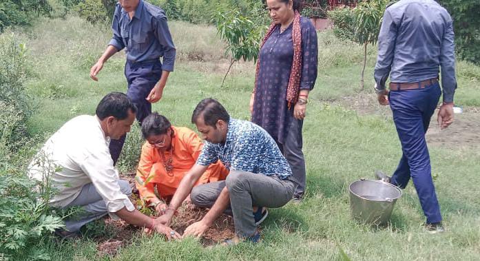 100 saplings received from Uttar Pradesh government were planted in Shri Ram Krishna Yogashram Inter College Deoband