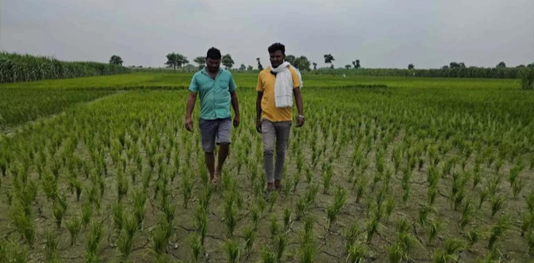 If the deed is not shown in the Bihar land survey, will the government take the land?