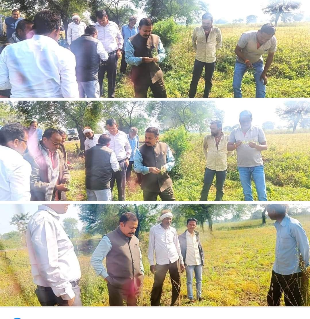 Commissioner Sagar Division Sagar Dr. Virendra Singh Rawat observed the condition of crops along with Collector Mayank Aggarwal
