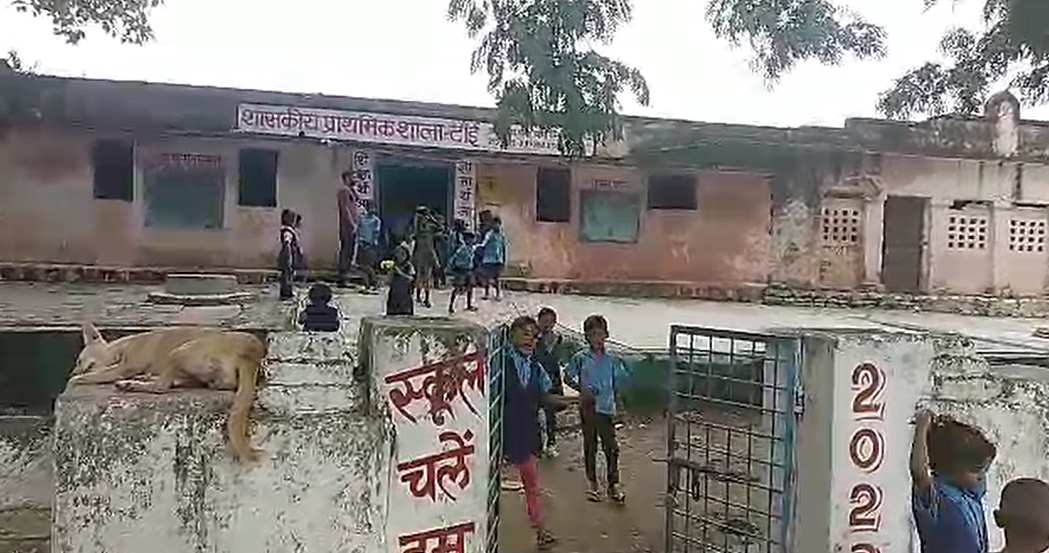Collector's inspection and cleanliness campaign in prestigious schools of Khajuraho