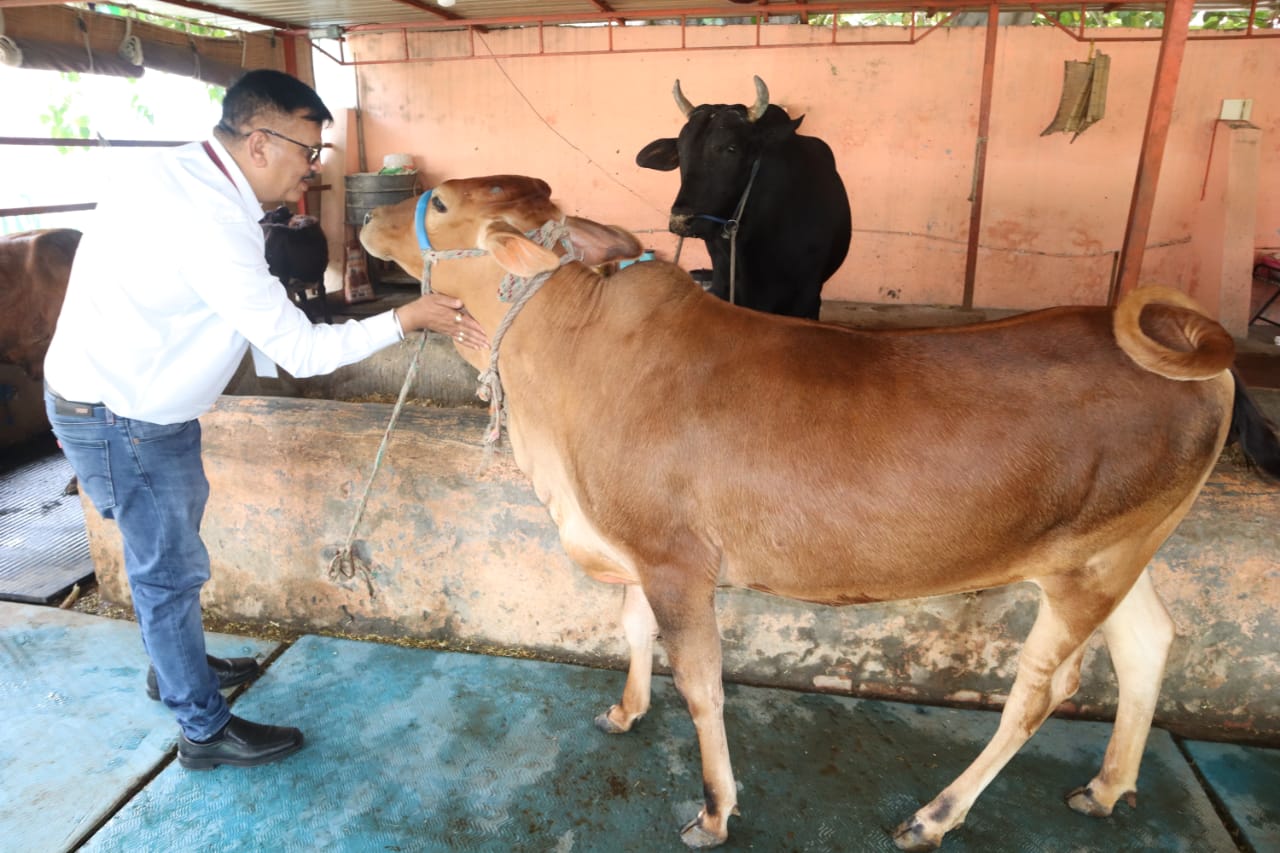 Saharanpur District Officer Dr. Dinesh Chandra Singh: Napier grass has an important place in continuously providing nutrients to animals