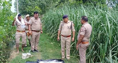 हिस्ट्रीशीटर का सड़ा गला शव गन्ने के खेत में मिलने से फैली सनसनी