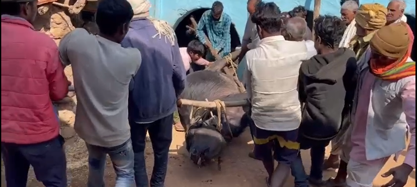 Vijayaraghavgarh police arrested the youth who kept country made bombs in the farm roads
