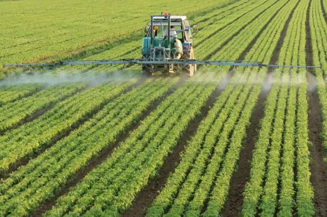 Agricultural Science Fair organized in Damoh