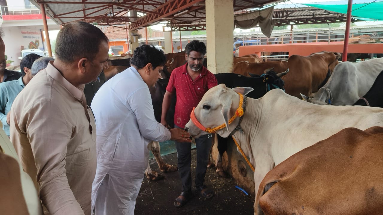 Minister-in-charge Sunil Sharma inspected Kanha Upvan Gaushala