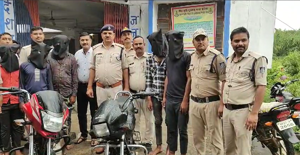 Dinara police's big action