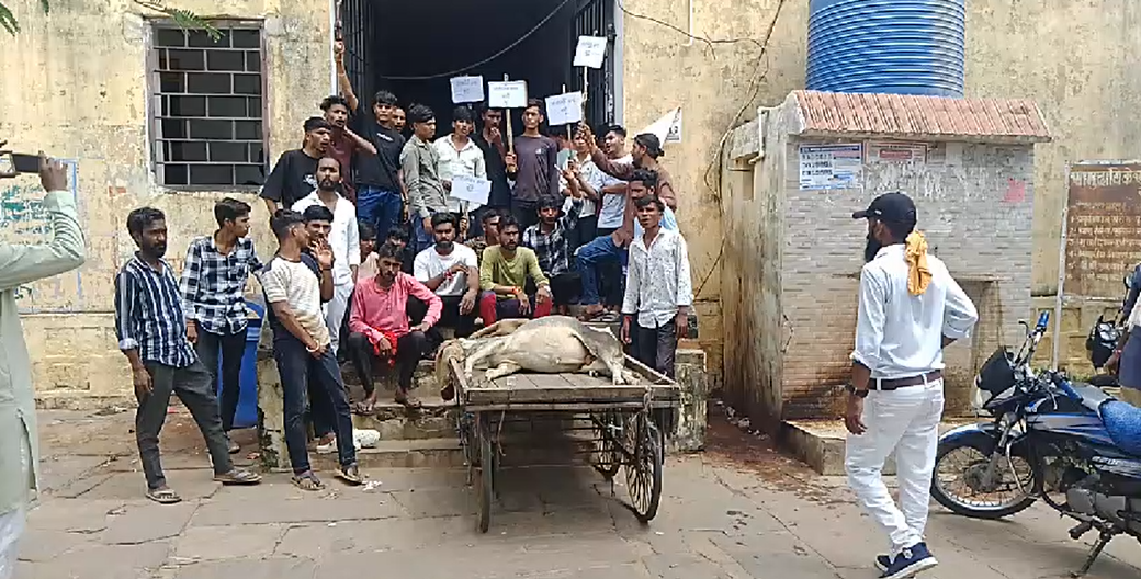 Gau rakshaks took out a rally to impose a complete ban on polythene