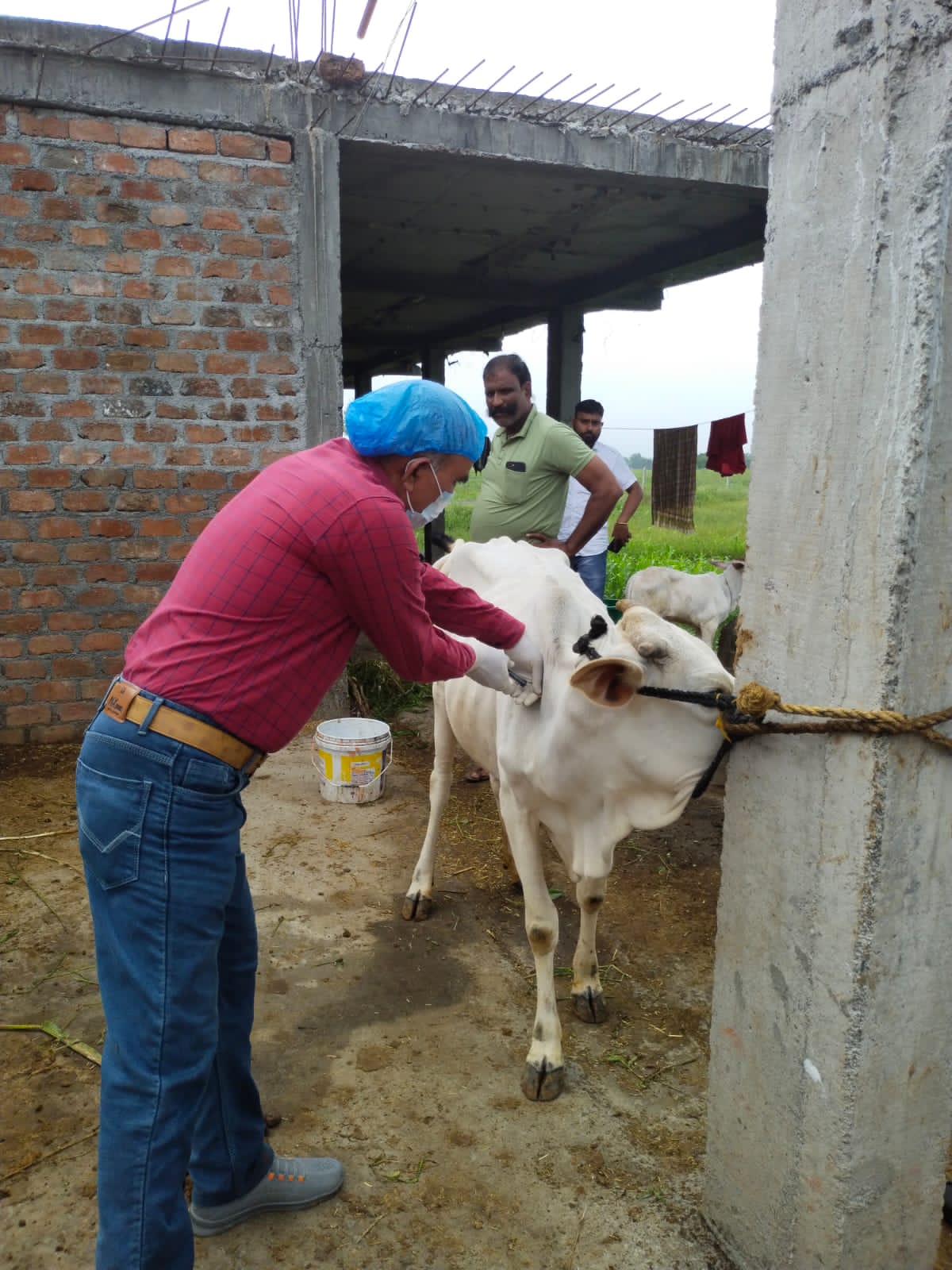 Veterinary department alert