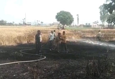 Fire broke out in standing wheat crop