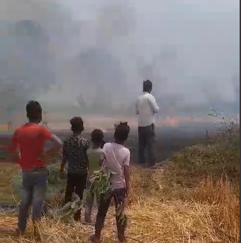 Crop fire in Bahoriband of Katni