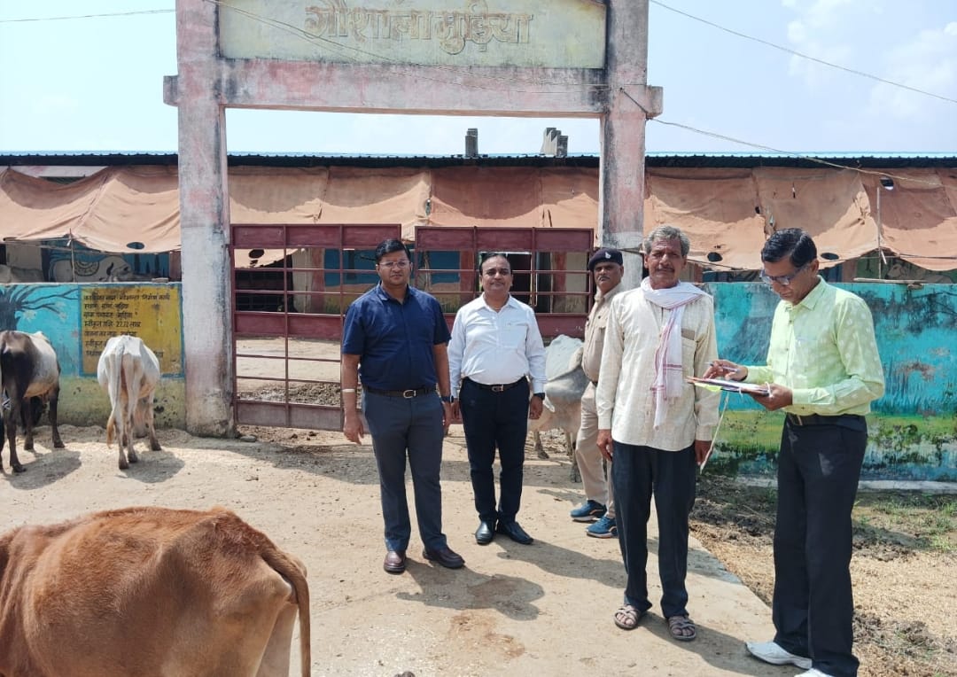 CEO District Panchayat did surprise inspection of Mudia, Hinauta and other cow shelters