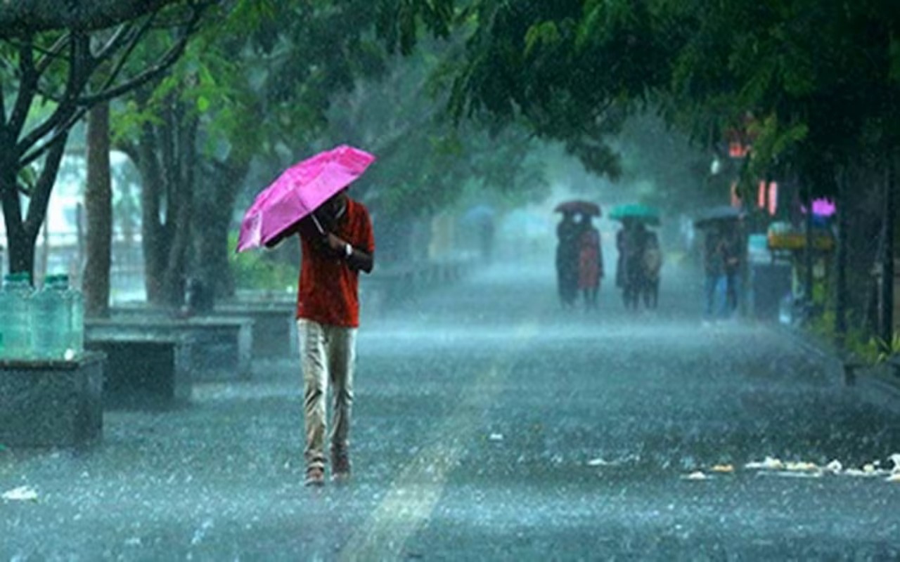 Heavy rain will occur in 19 districts of Bihar