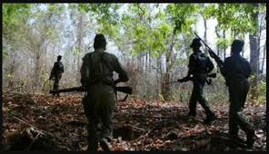 Security forces killed 31 Naxalites in Bijapur