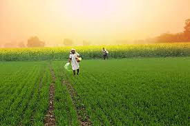 Farmers are happy