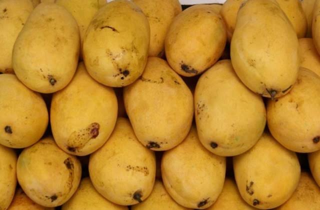 Exporters of Saharanpur's famous Chaunsa mango are very disappointed due to the unbridled increase in air fares