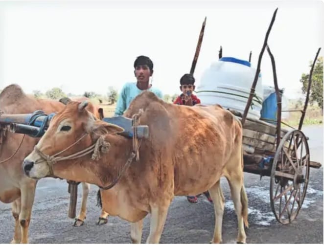 Water crisis knocks in Damoh