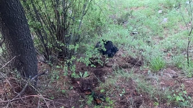 Infiltration attempt on LoC