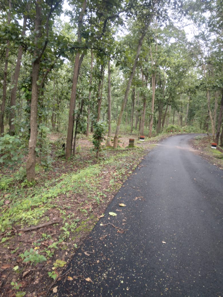 Village "Bairaagi" surrounded by beautiful hills
