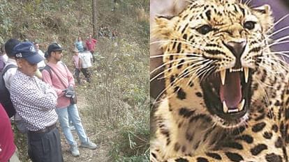 Guldar attacked and killed a calf