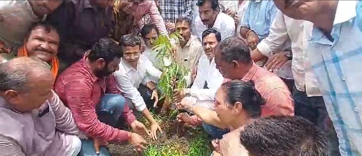 MLA Satish Malviya and Collector Neeraj Kumar Singh planted saplings in Nagulal Mahavidyalaya Ghattia campus