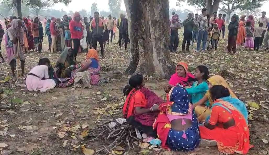 2 killed by lightning in Shahdol