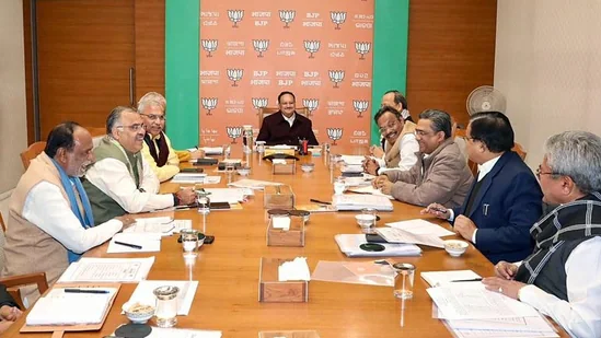 BJP's list of 230 potential candidates for 70 seats in Delhi is ready