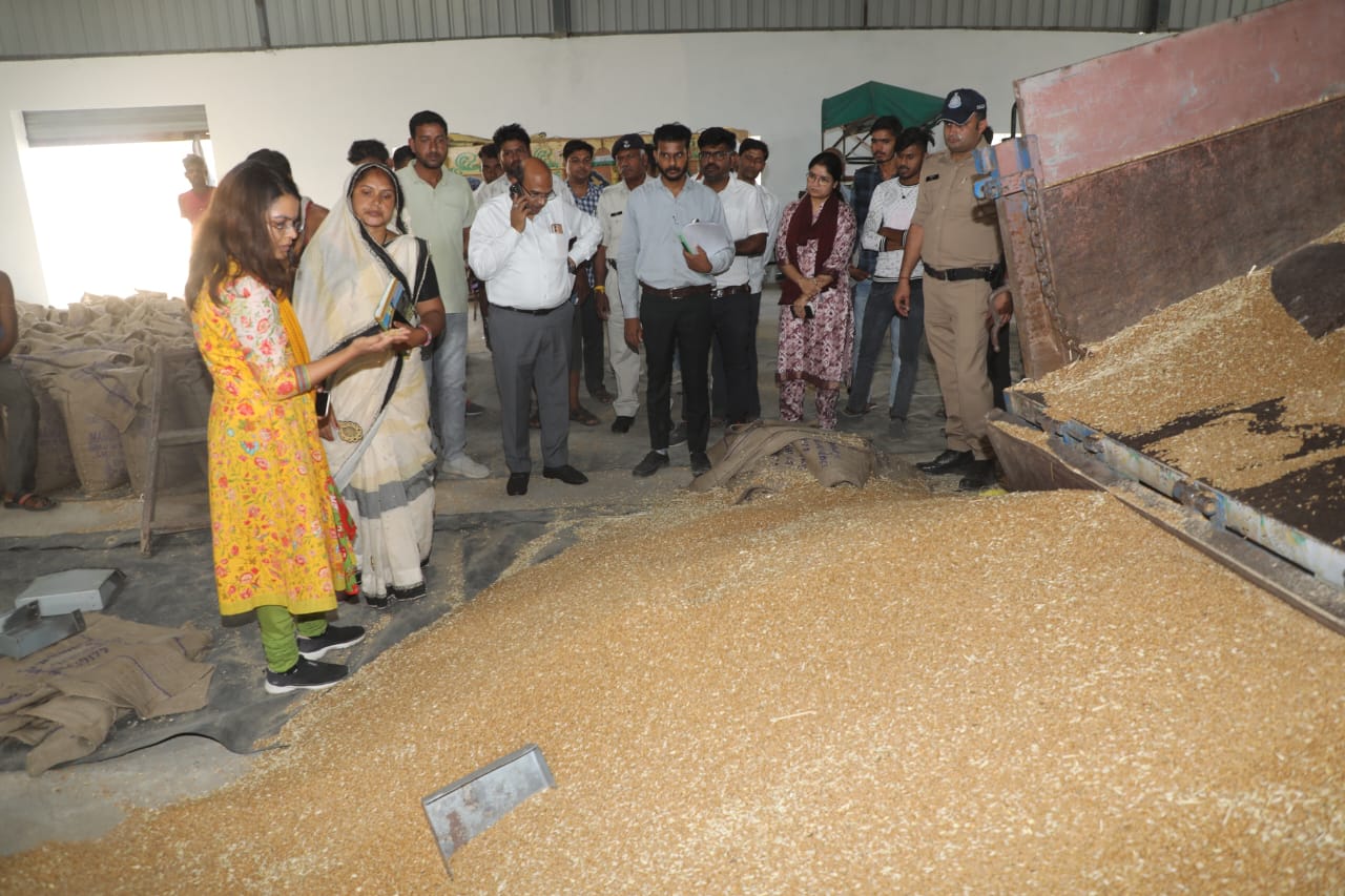 Collector Riju Bafna reached the center to inspect the wheat procurement work in Shajapur
