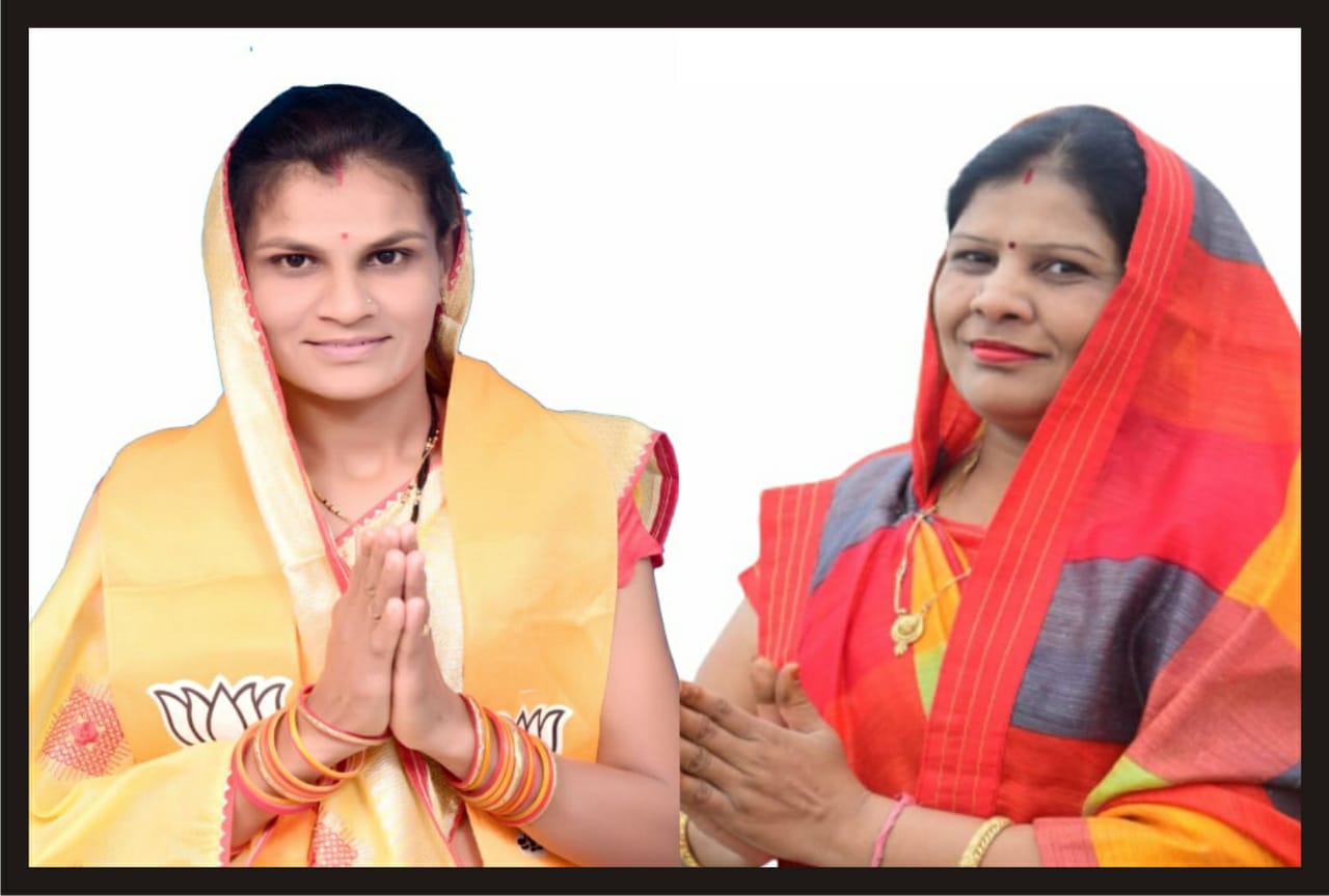 BJP's victory in Manawar Municipality and Dahi Municipal Council of the district