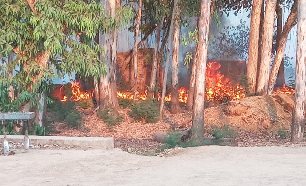 The fire set by the contractor for cleaning the pond reached the area of a person living in the neighborhood