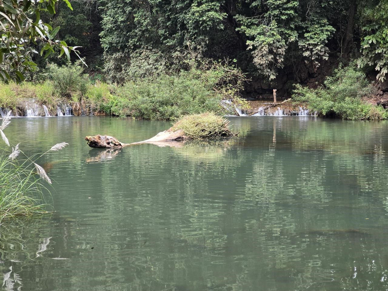 New tourist spot Triya becomes the center of attraction, new destination for picnic along with outing