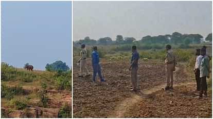 An elephant strayed from Bandhavgarh National Park and reached Katni, creating a stir among the villagers