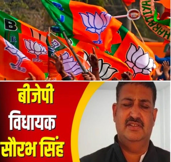 BJP formed provincial committee in view of Panchayat elections