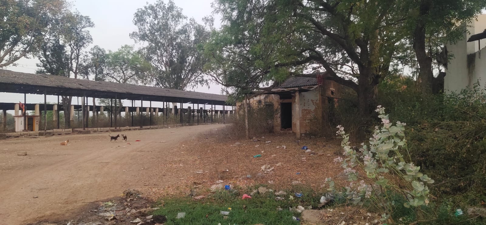 Nohta pole factory closed for more than a decade, factory occupied