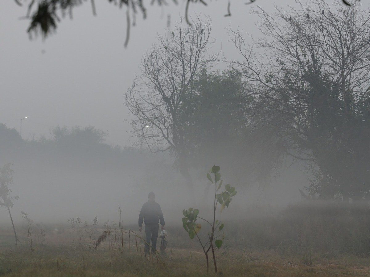 Fog in the morning in many districts of Bihar